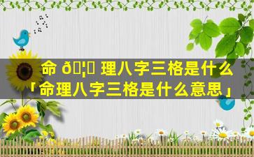 命 🦊 理八字三格是什么「命理八字三格是什么意思」